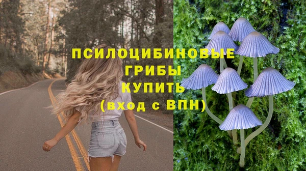 стафф Абаза
